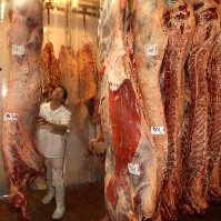 Bovine, sheep and pork meat