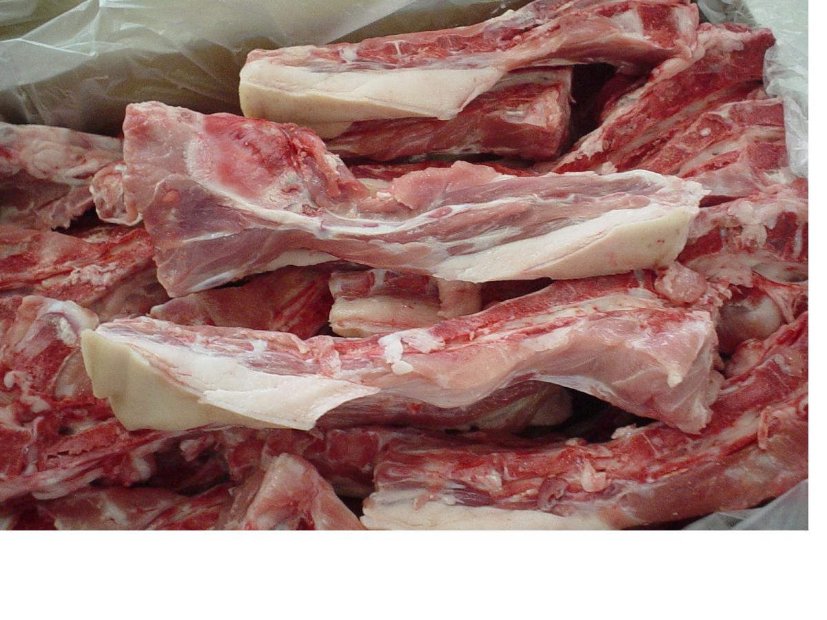 Tail Bone products,Spain Tail Bone supplier