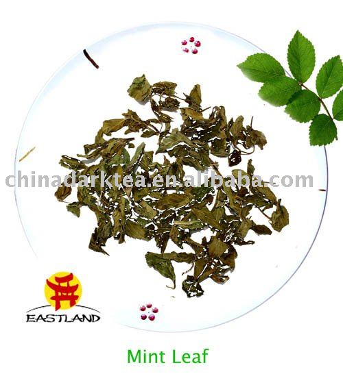 Mint Leaf  Chinese Flower Tea