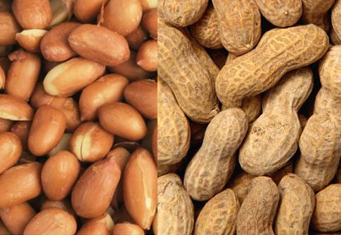 Soy Bean, Peanut, Ginger