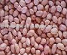 New crop chinese  round   shape d  peanut   kernels 