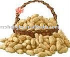 New crop  shandong   peanut  in  shell 