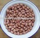 New crop chinese  long   shape d peanut  kernels 