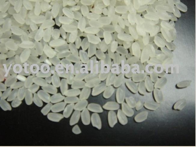 China white short rice(5% broken)