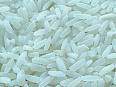 Super Kernal  Extra Long Grain Basmati Rice Crop