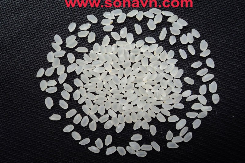 Calrose Rice - Round Grain Rice - Sushi Rice - Japonica Rice