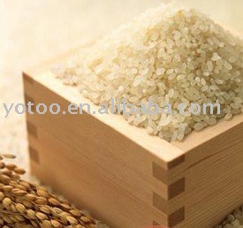 round grain rice/white rice/chinese rice/pearl rice/china rice/short grain rice