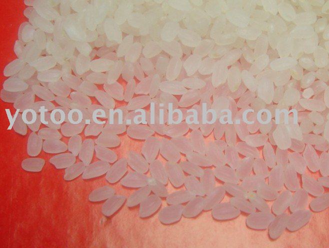 round grain rice/white rice/chinese rice/pearl rice