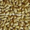 GREATBLANCHED PEANUT KERNELS