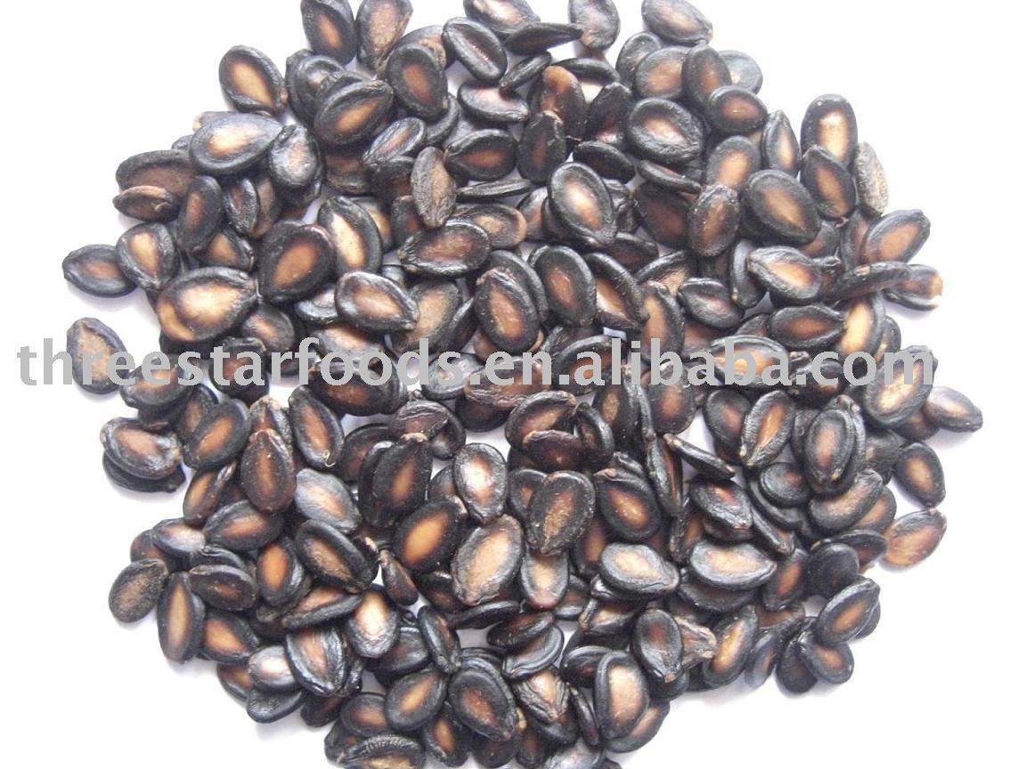  Roasted   Watermelon   Seed s