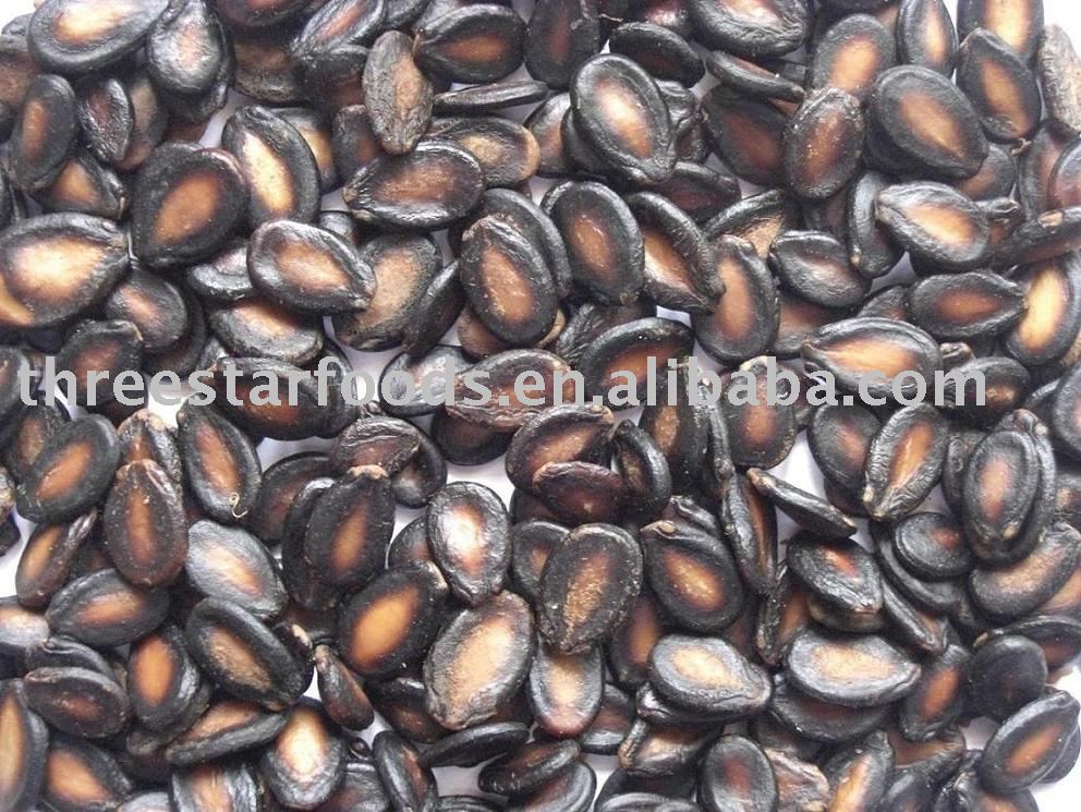Roasted and Salted  Watermelon Seeds