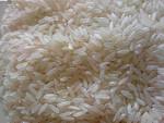 Vietnamese Round Grain White Rice