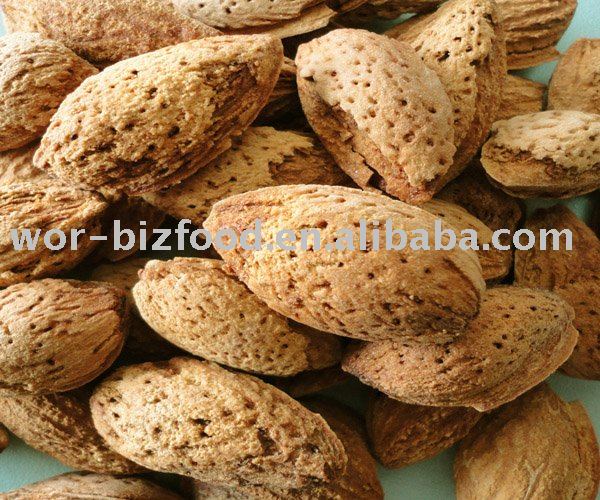 Roasted Almond in shell