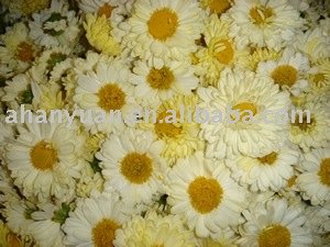 Health Tea, Chinese Tea, Hangzhou White Chrysanthemum Tea