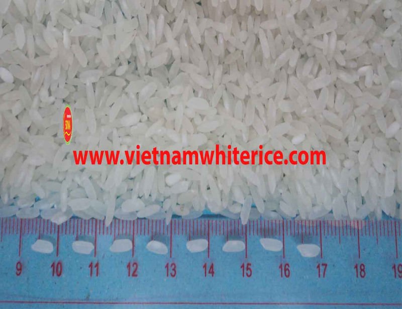 Vietnam Short Round Rice, Medium Rice, Jamine rice, Glutinous Rice, Calrose Rice, Sushi Rice