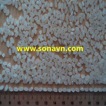 Jasmine rice, short round rice, medium rice, glutinous rice, sushi rice, round rice, japonca rice -