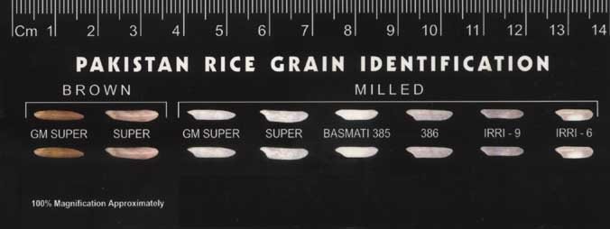 COLOUR SORTED RICE