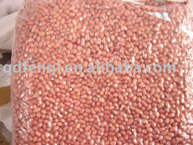 peanut kernel