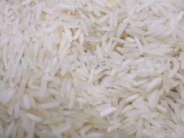  RICE   EXPORT ER