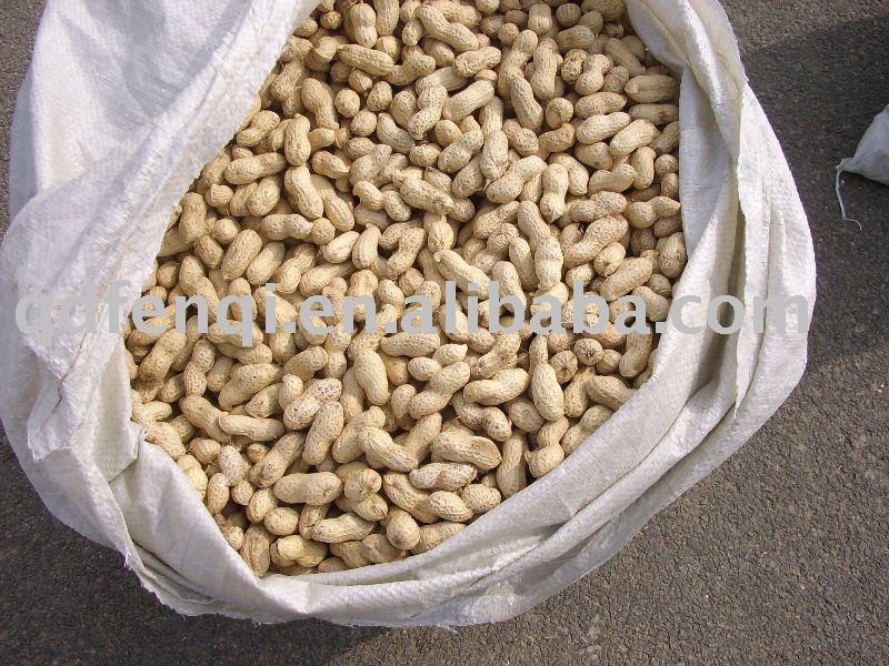 china peanut kernel