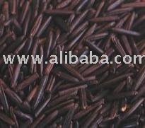 African wild rice