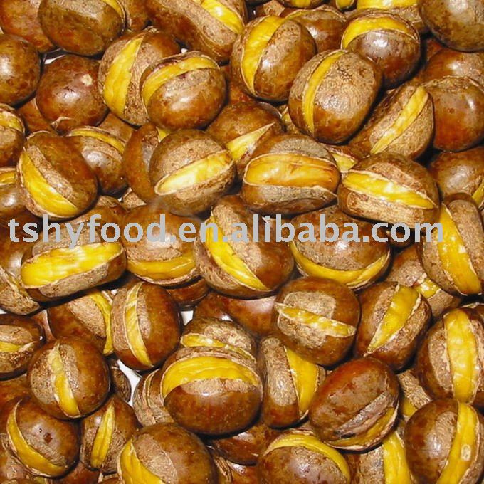  chestnut  in  shell 