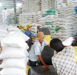 Stocking rice