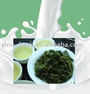 Top Milky  Oolong  Tea,Milk Aroma,Organic  Oolong  tea,Useful for  weight   loss 