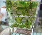 tea,Chinese tea,green tea,organic green tea,organic tea,organic Longjing Tea
