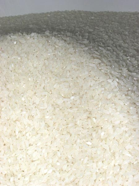  Rice 