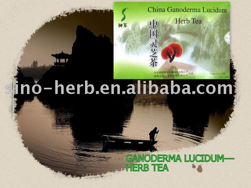 CHINESE GANODERMA LUCIDUM HERB TEA----HEALTH TEA----FUCTION TEA