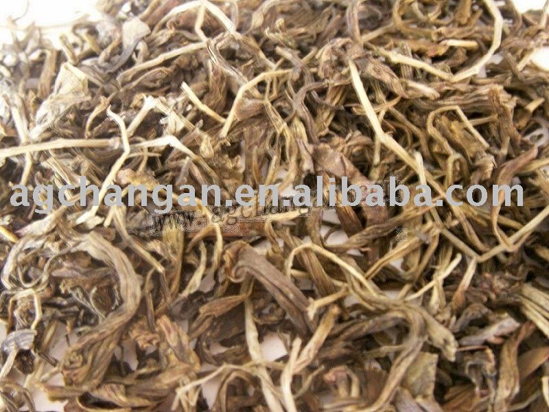  Ginkgo  Biloba Tea