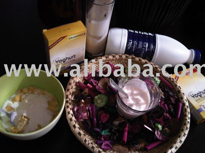 Yogurt Powder Instant