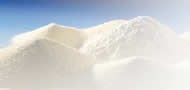Skimmed Milk Powder