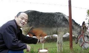 donkey milk for sale
