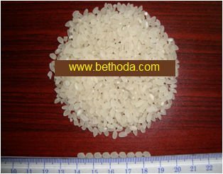 Round rice