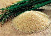 Vijrah  Agro  - Grains -Rice