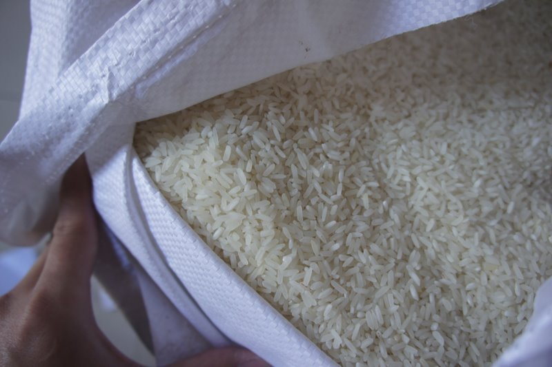Rice