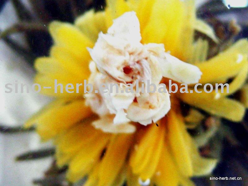 seashell Pearl  spit ting Organic Blooming  tea--flower tea