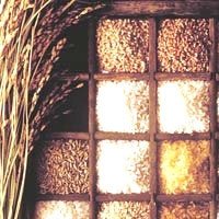  Rice   Wheat  Corn  Sugar  Spice   other food grains