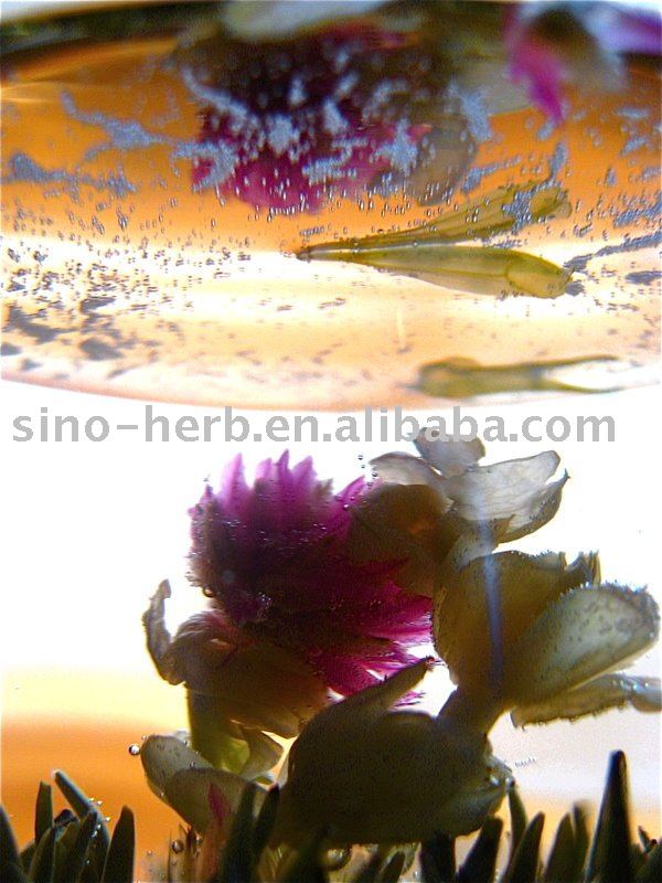 organic artistic tea,100% hand-made artistic blooming tea,artisan blooming tea