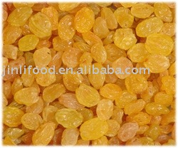 Gold Rasin snack
