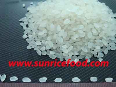 Round grain rice - High quality - Miller in Vietnam