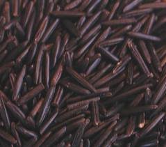 wild rice