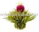 FLOWER TALK - ORIENTS BEST BLOOMING FLOWER TEA