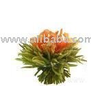HARVEST & HAPPINESS - ORIENTS BEST BLOOMING FLOWER TEA