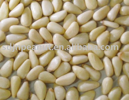Pine nut Kernel