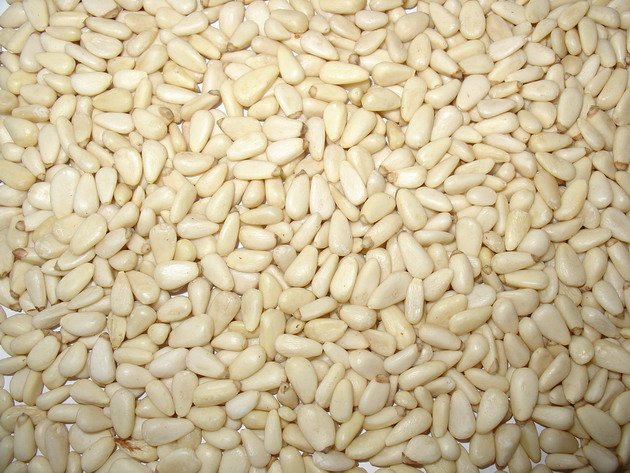 pine nut kernels