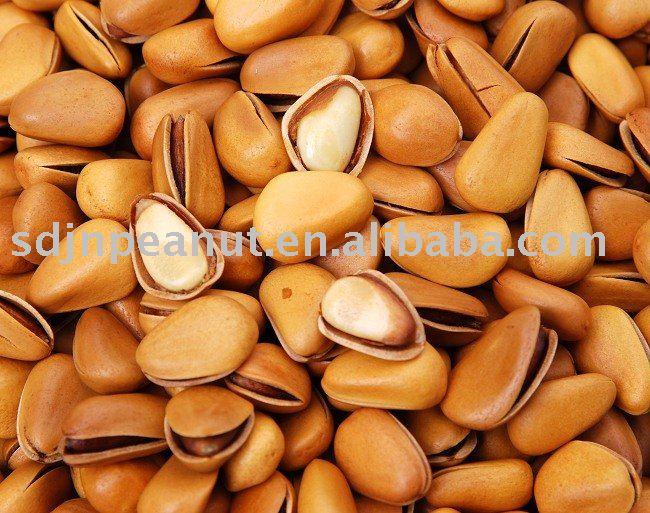 Pine nut