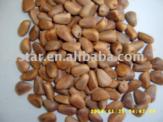 Sell Pine Nut